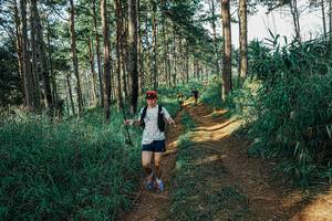 BIB: 
                            <button type="button" onclick="openModal(25781776)" class="btn btn-primary btn-sm float-right btn-popup" data-toggle="modal" data-target=".modal-high-quality">
                        <i class="fas fa-shopping-cart"></i> Add to Cart
                    </button>
                                            <button type="button" onclick="isThisMe(25781776, true)" class="btn btn-success btn-sm float-right btn-popup btn-isme hidden" data-toggle="tooltip" data-placement="bottom" title="นี่คือรูปของคุณใช่ไหม คลิกที่นี่เพื่อเอาเข้าอัลบั้ม">
                        <i class="fas fa-plus"></i> Add to album
                    </button>
                    <button type="button" onclick="isThisMe(25781776, false)" class="btn btn-warning btn-sm float-right btn-popup btn-isnotme hidden">
                        <i class="fas fa-ban"></i> Remove from album
                    </button>